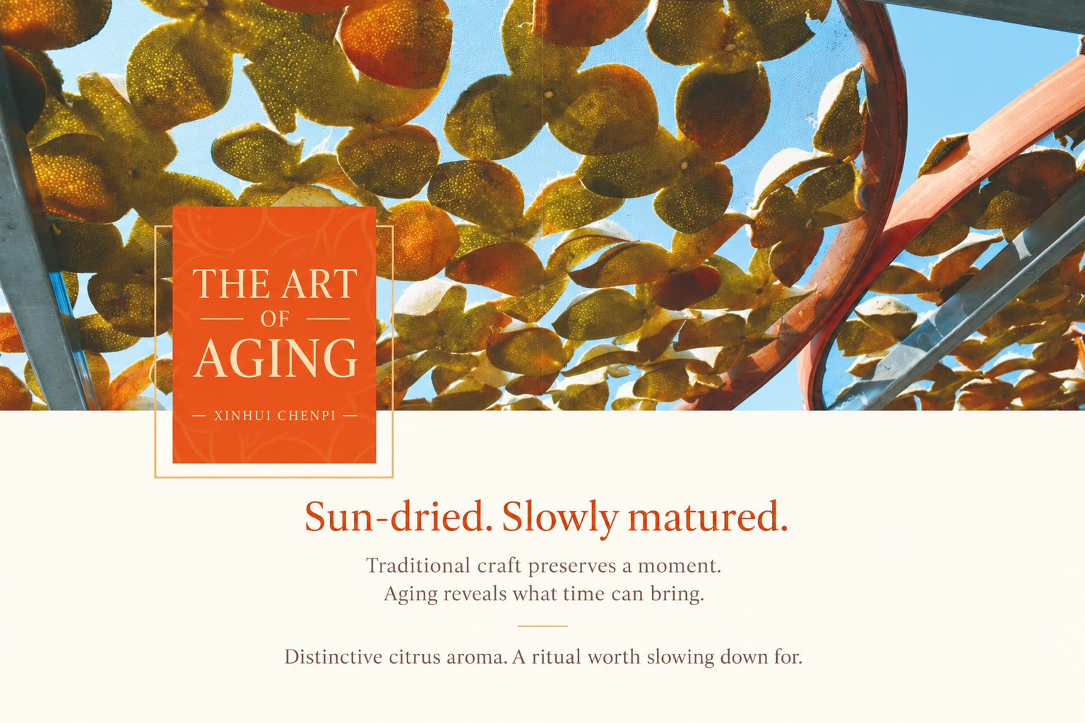 English brand editorial: the art of aging Xinhui chenpi, with the original photograph of citrus peels drying in trays